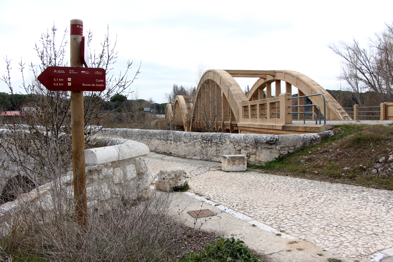 Nuevo Puente Duero de Peñafiel. Vista desde Viejo Puente Duero. 