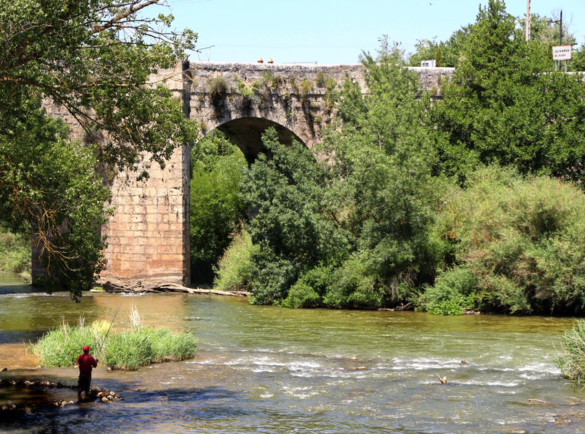 Puente sobre el Duero: Quintanilla de Onésimo y Olivares
