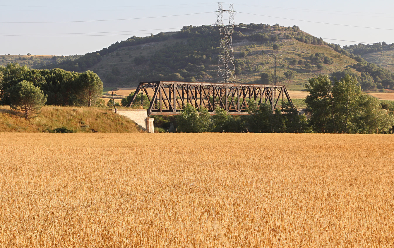 Puente Ferrocarril El Carrascal (Línea Valladolid - Ariza km. 62)