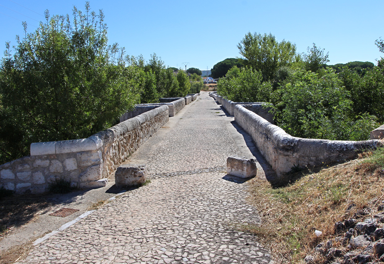 Viejo Puente Duero de Peñafiel