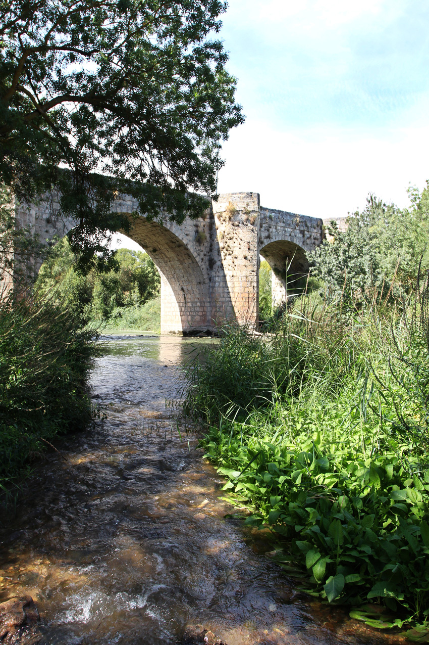 Puente sobre el Duero: Quintanilla de Onésimo y Olivares
