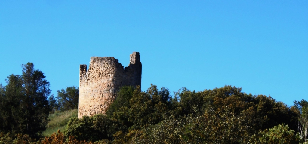 Castrillo de la Vega: Restos del Castillo