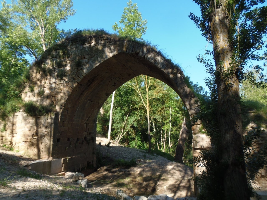 Castrillo de la Vega: Puente Roque